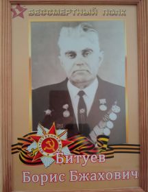 Битуев Борис Бжахович