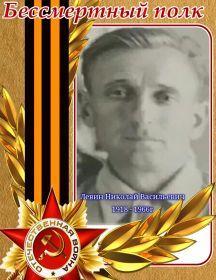 Левин Николай Васильевич