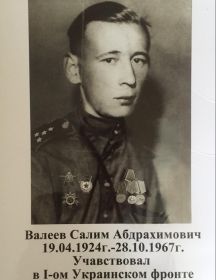 Валеев Салим Абдрахимович