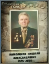 Камоликов Николай Александрович