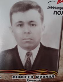 Яникеев Михаил 
