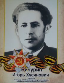 Бичурин Игорь Хусянович
