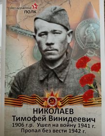 Николаев Тимофей Винидеевич