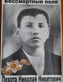 Пехота Николай Никитович