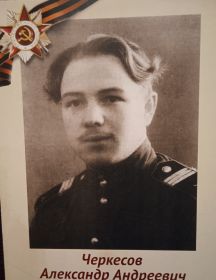 Черкесов Александр Андреевич