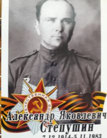 Степушин Александр Яковлевич
