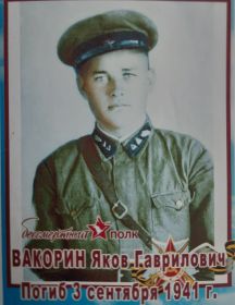 Вакорин Яков Гаврилович