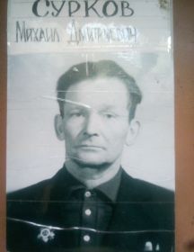 Сурков Михаил Дмитриевич