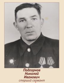 Подгорнов Николай Иванович