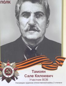 Тамоян Сале Калоевич