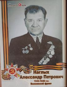 Наглых Александр Петрович