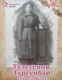 Тулегенов Турсунбай В 