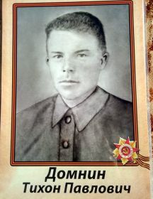 Домнин Тихон Павлович