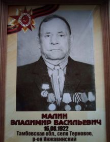Малин Владимир Васильевич