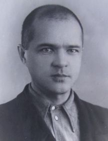 Шипицин Сергей Николаевич