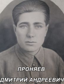 Проняев Дмитрий Андреевич