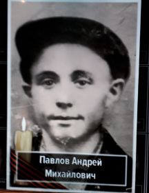 Павлов Андрей Михайлович