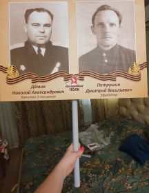 Дёмин Николай Александрович