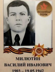 Милютин Василий Иванович