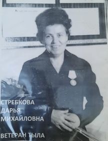 Стребкова Дарья Михайловна