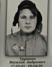 Трушкин Василий Андреевич