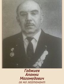 Гаджиев Апани Магомедович