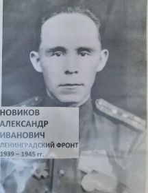 Новиков Александр Иванович