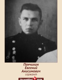 Панчихин Евгений Анисимович