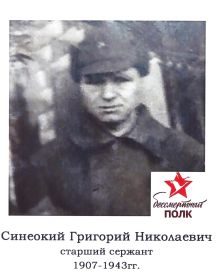 Синенко Григорий Николаевич