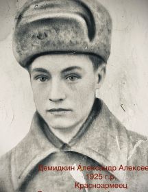 Демидкин Александр Алексеевич