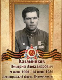 Калашников Дмитрий Александрович