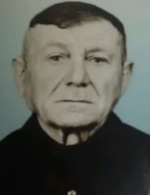 Гагишвили Александр Георгиевич