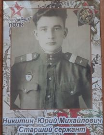 Никитин Юрий Михайлович