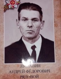 Лушавин Андрей Фёдорович