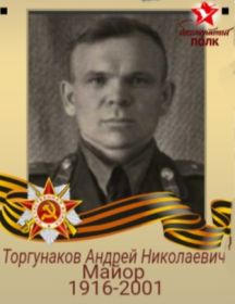 Торгунаков Андрей Николаевич