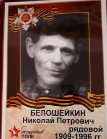 Белошейкин Николай Петрович