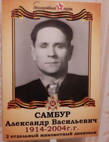 Самбур Александр Васильевич