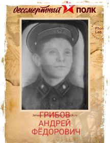 Грибов Андрей Фёдорович