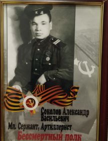 Соколов Александр Васильевич