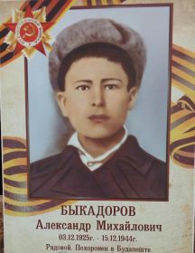 Быкадоров (Быкодоров) Александр Михайлович