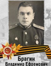 Брагин Владимир Ефремович