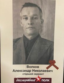 Волков Александр Николаевич