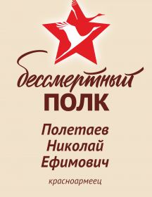 Полетаев Николай Ефимович