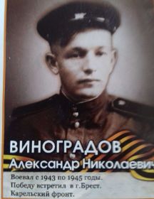 Виноградов Александр Николаевич