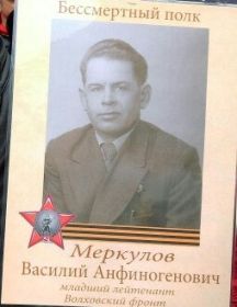 Меркулов Василий Анфиногенович
