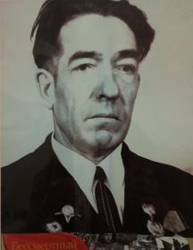 Трапезников Владимир Дмитриевич