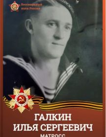 Галкин Илья Сергеевич