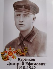 Куренков Дмитрий Ефимович