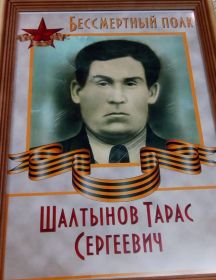 Шалтынов Тарас Сергеевич