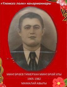 Мингараев Тимерхан Мингараевич